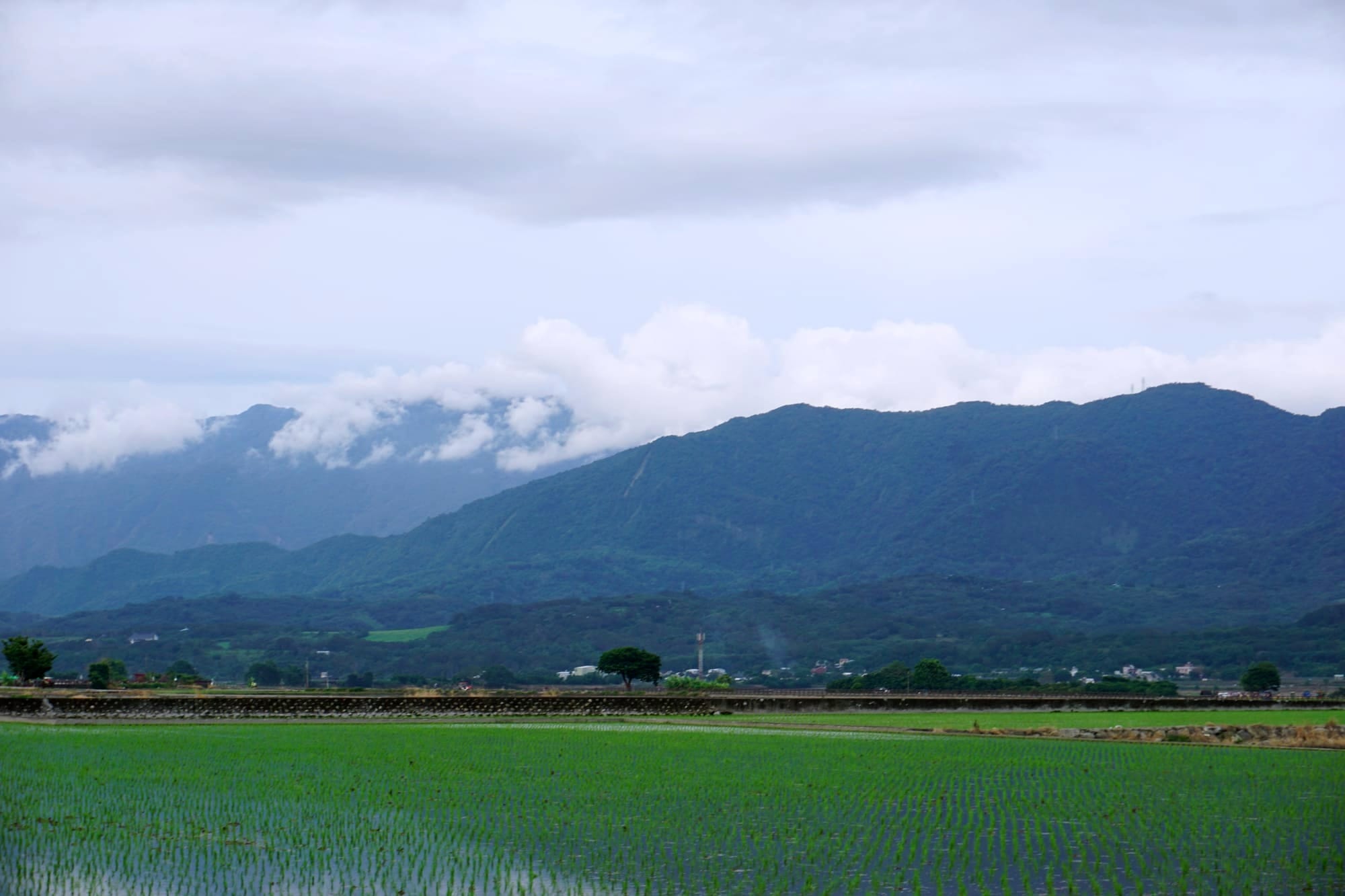 Short and Life-changing, Co-Active Coaching: Fundamentals