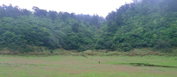 The Making of a Corporate Athlete: One Article That Changed How I Work