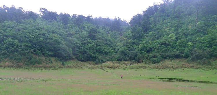 The Making of a Corporate Athlete: One Article That Changed How I Work